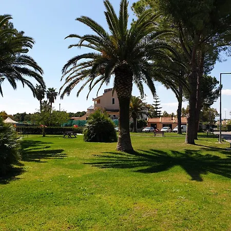 Lido